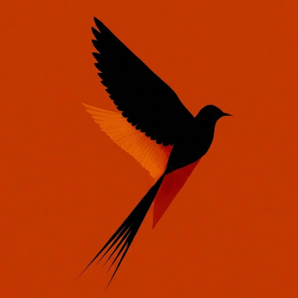 CNDR icon